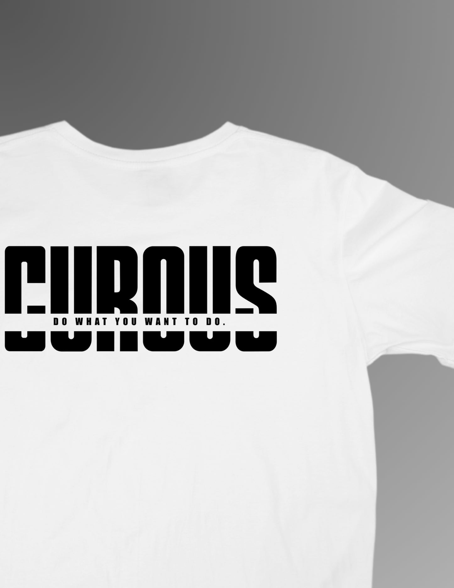 Big logo short sleeve shirts (WHITE)