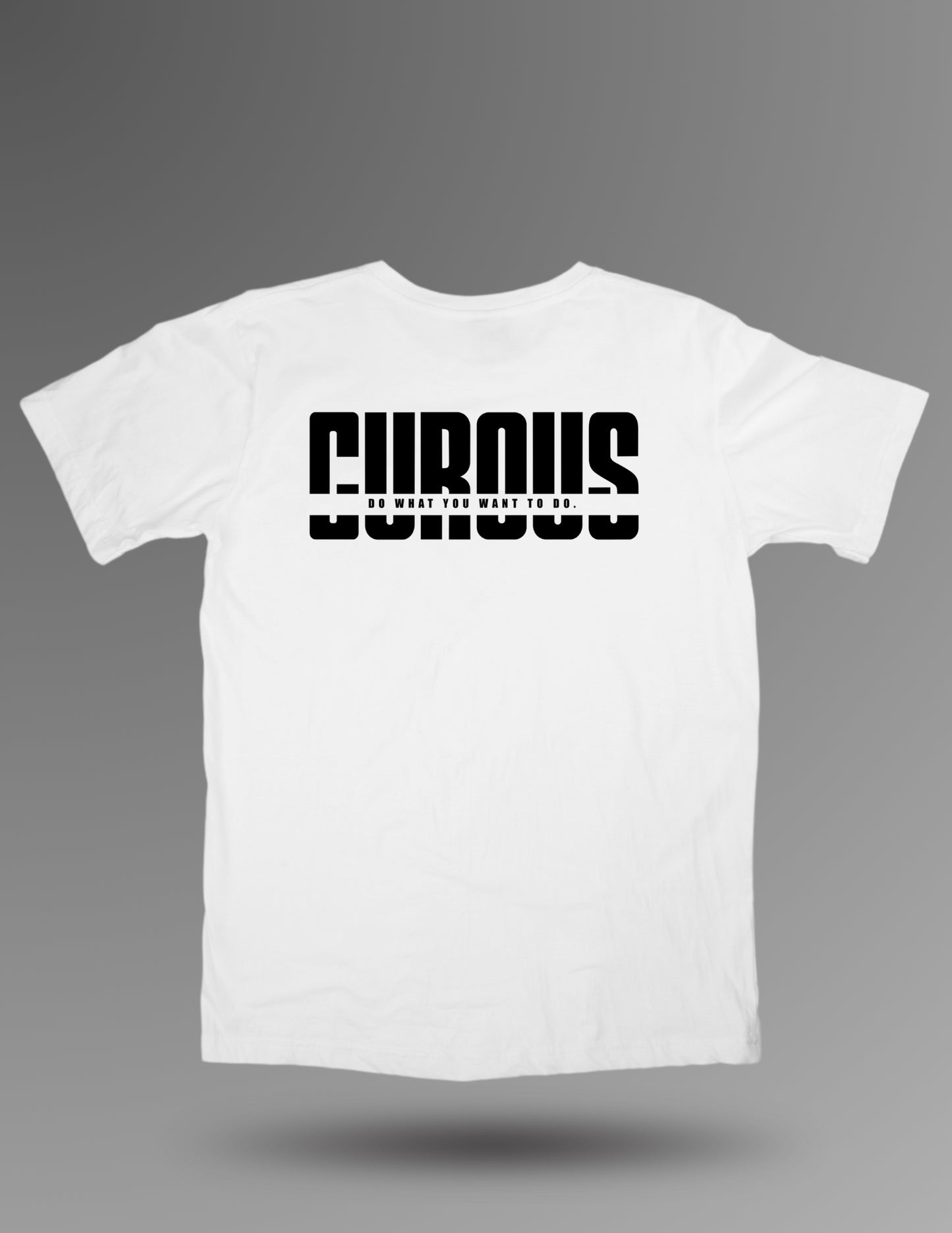 Big logo short sleeve shirts (WHITE)