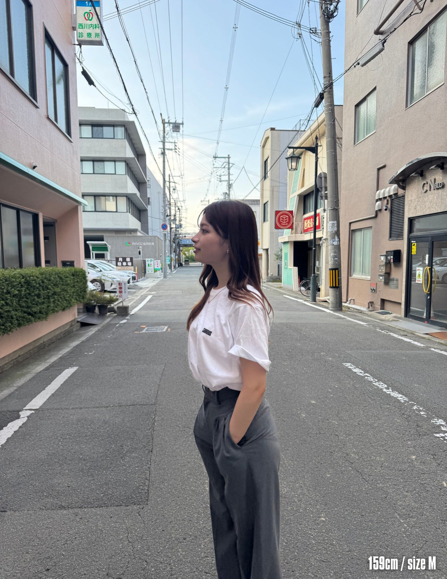 Text logo short sleeve shirts (WHITE)