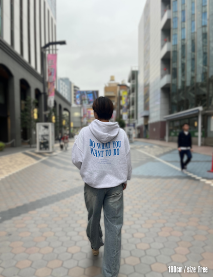 DWD.hoodie（Gray-blue）
