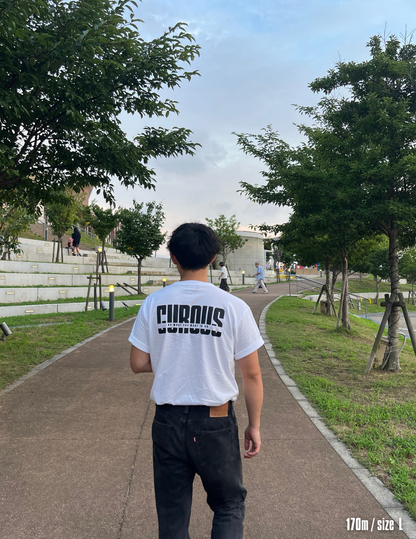 Big logo short sleeve shirts (WHITE)