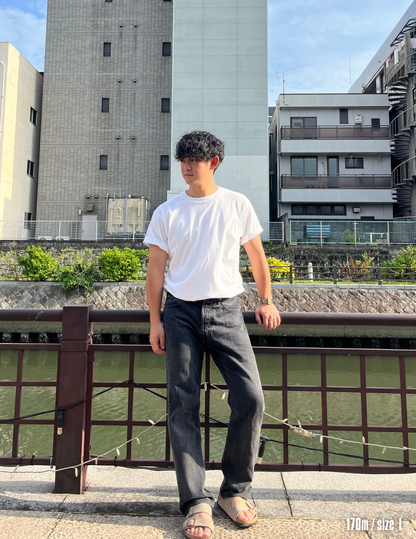 Big logo short sleeve shirts (WHITE)